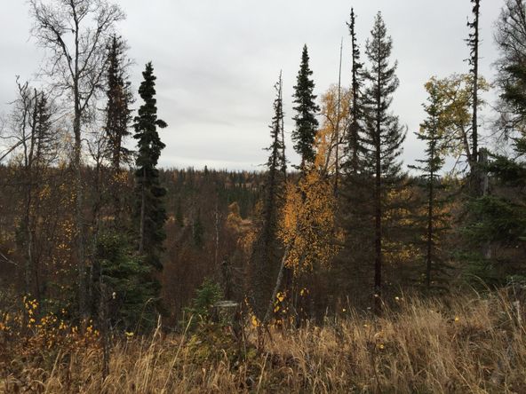 63885 Tailwind Rd, Ninilchik, AK 99639